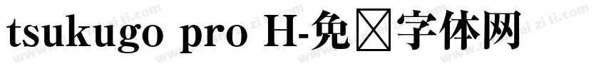 tsukugo pro H字体转换